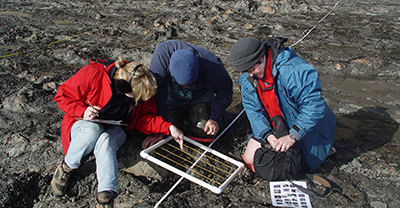 three researchers examining a section of the ground