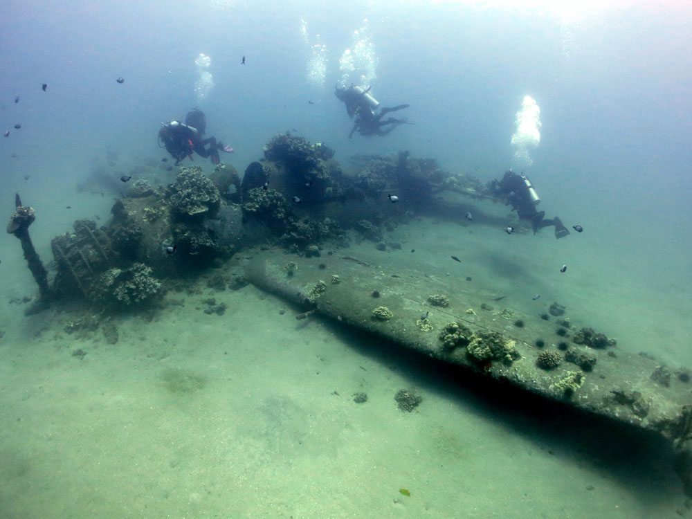 divers over a submerged wreck